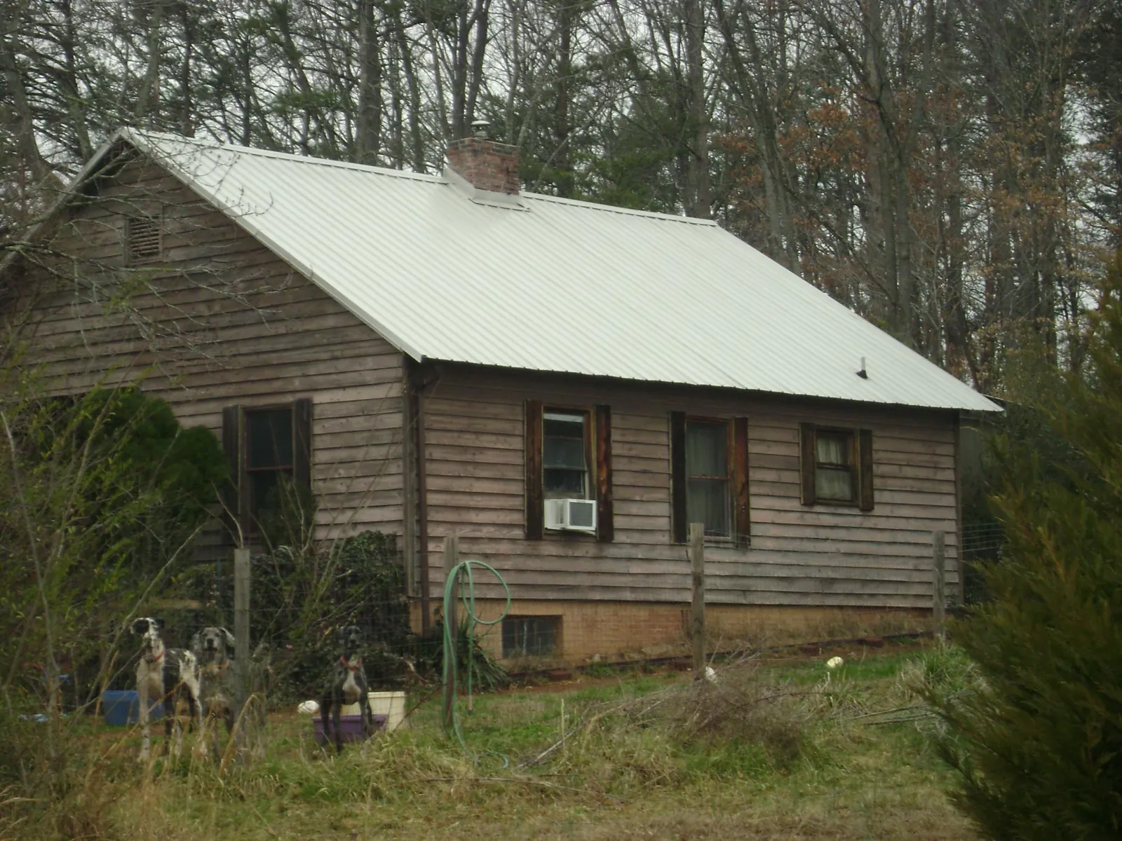 White metal roof on an old wood sided farmhouse, from a Asphalt Shingle Roof Repair job in Poland